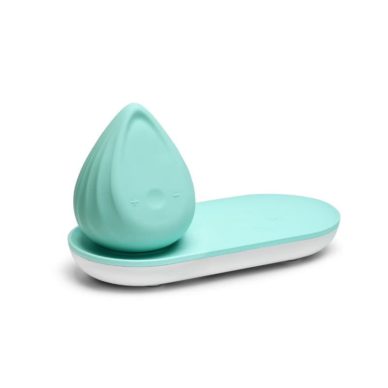 Biird Evii Clit Vibrating Egg-2