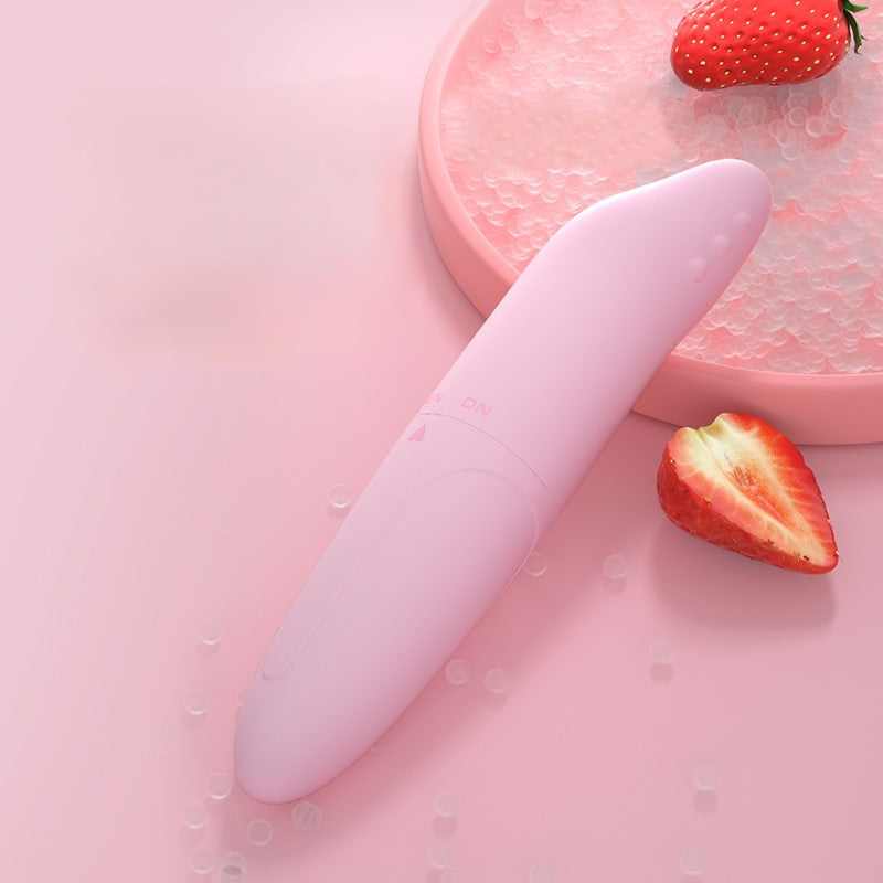 LILO Dolphin Vibrating Egg-1