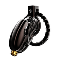 LOCKINK Sevanda Outlaw Urethral Sounding Male Chastity Cage-0