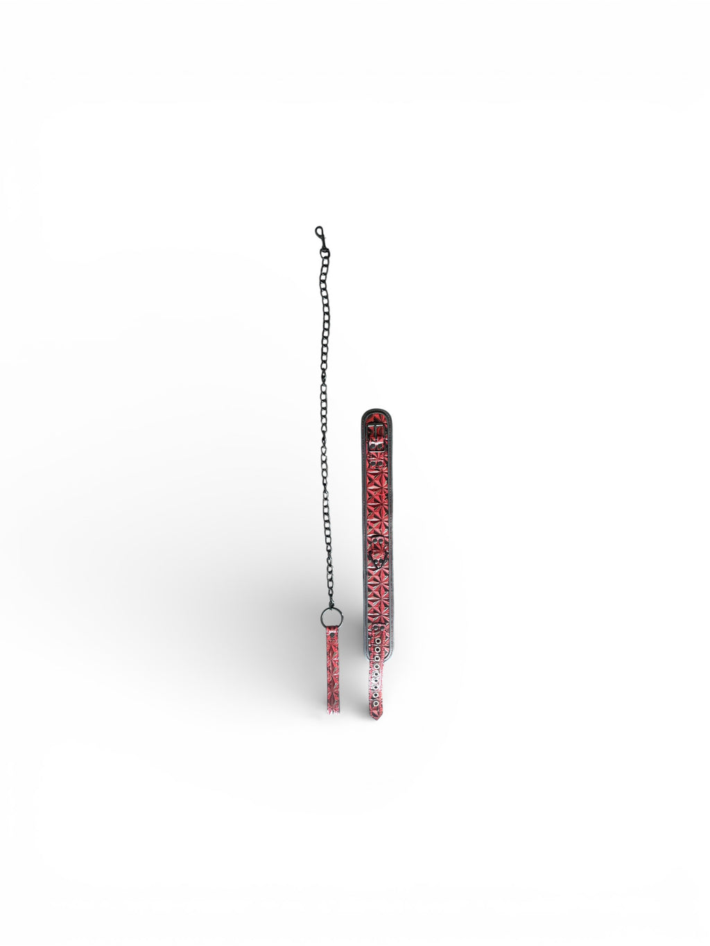 BDSM Collar - BDSM Leash | V For Vibes