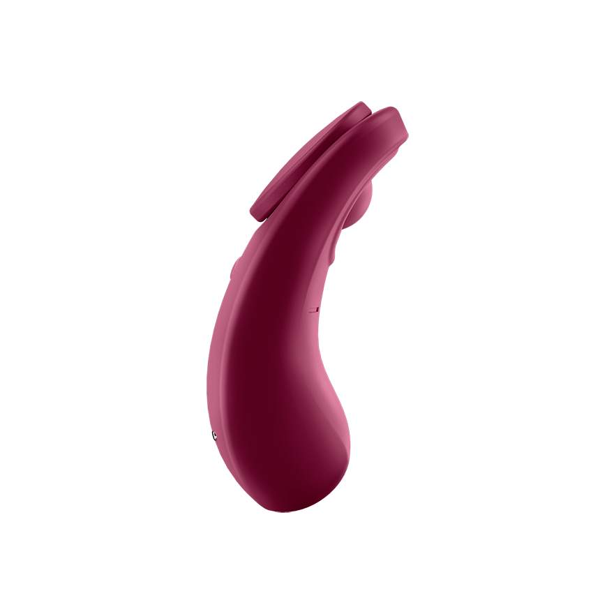 Satisfyer Sexy Secret App-Controlled-1
