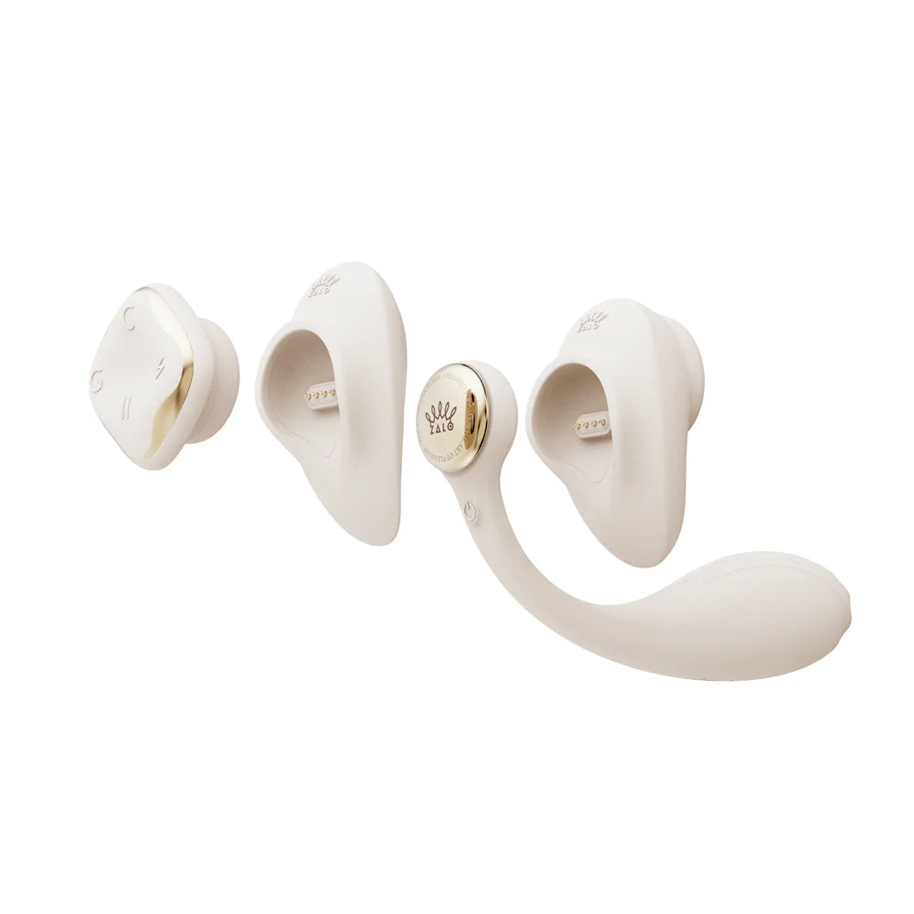 App Controlled Vibrator | V For Vibes