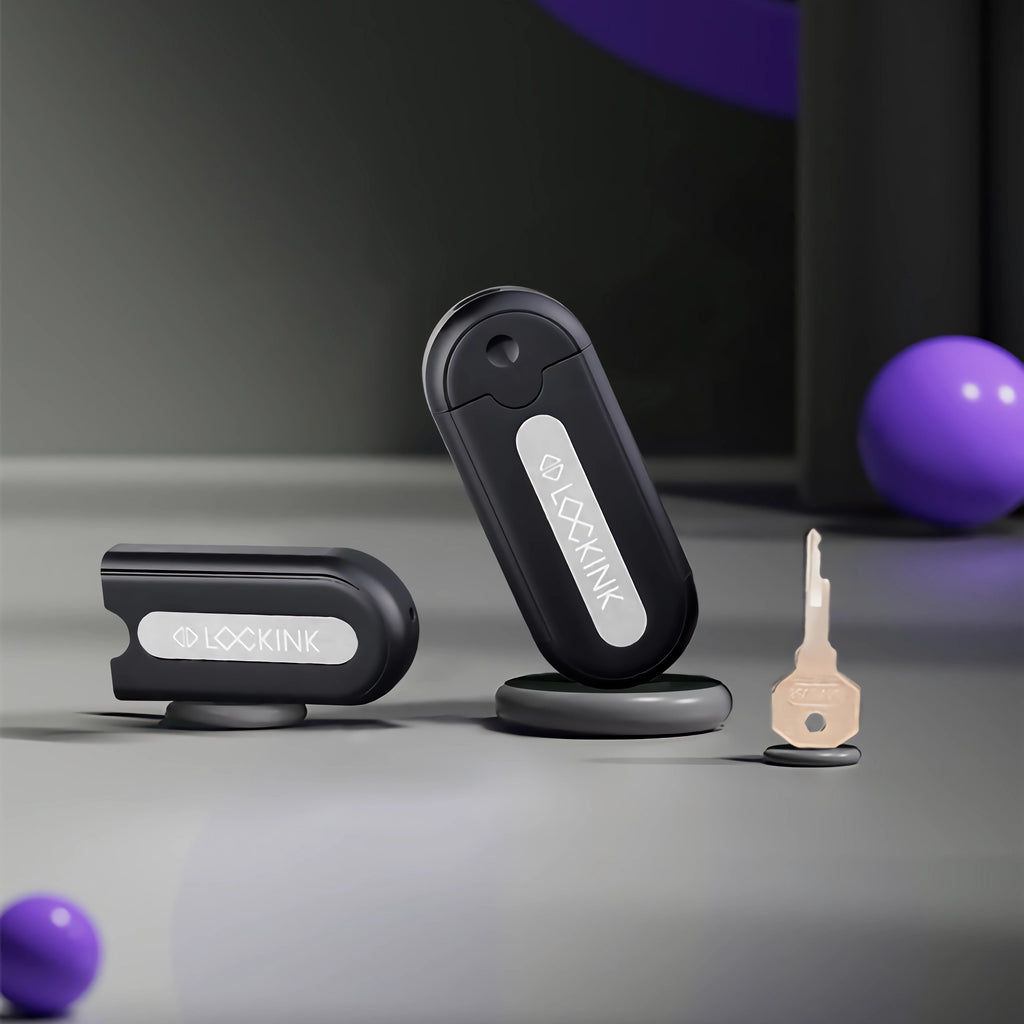 LOCKINK Pandora Smart Key Holder for Chastity Cage App Controlled-1