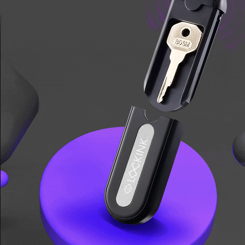 LOCKINK Pandora Smart Key Holder for Chastity Cage App Controlled-2