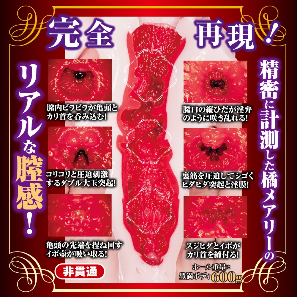 NPG Shin Mature Star Mary Tachibana Onahole-4